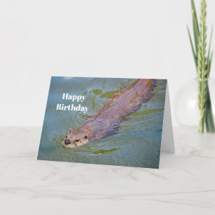 Otter Swimming Wildlife Photo Birthday Card