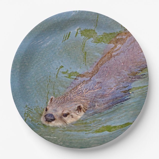 Otter Swimming Wildlife Photo Paper Plate (Front)