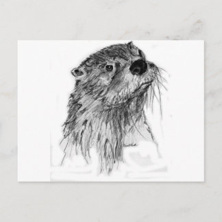 Otter Whiskers Postcard