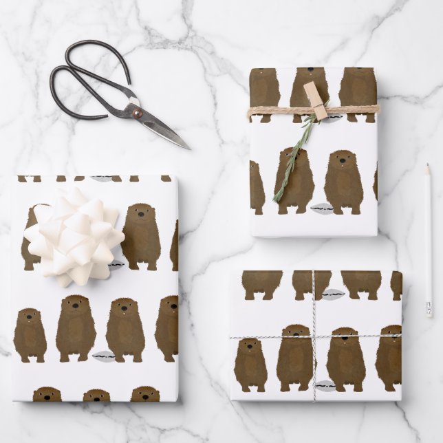 Otter Wrapping Paper Sheets (Front)