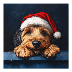 Otterhound In A Santa Hat Photo Print