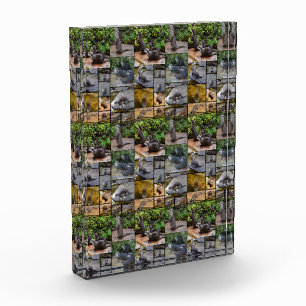 **"Otterly Adorable: A Photo Collage of Otters