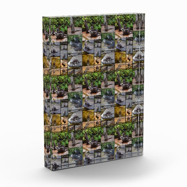 **"Otterly Adorable: A Photo Collage of Otters (Left)