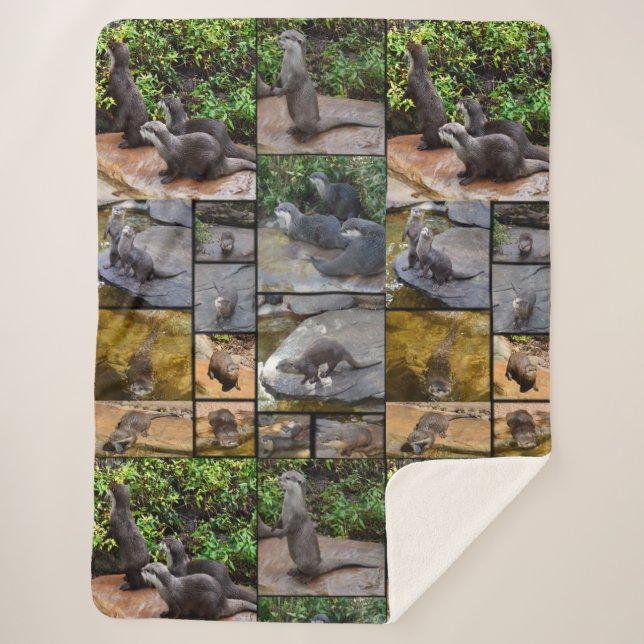 **"Otterly Adorable: A Photo Collage of Otters Sherpa Blanket (Front)