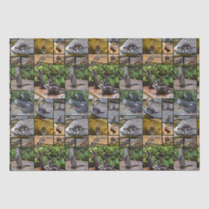**"Otterly Adorable: A Photo Collage of Otters Tissue Paper