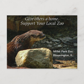 Otterly Adorable Postcard