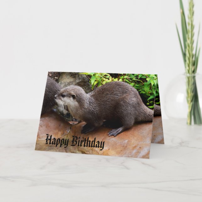 Otterly Adorable Small Grey Otter, Happy Birthday Card (Front)