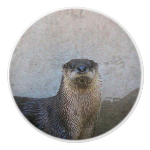 Otterly cute ceramic knob