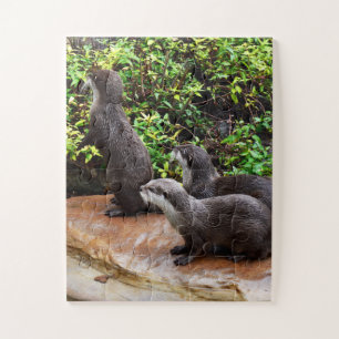 Otterly Delightful Small Grey Otters, Jigsaw Puzzle