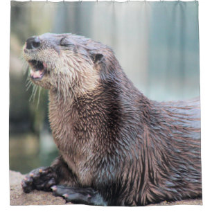 Otterly hilarious shower curtain