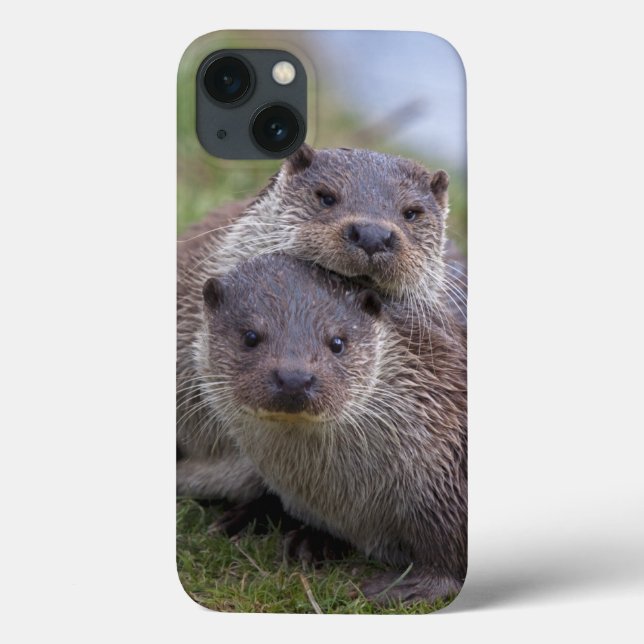 Otterly in Love iPad Case (Back)