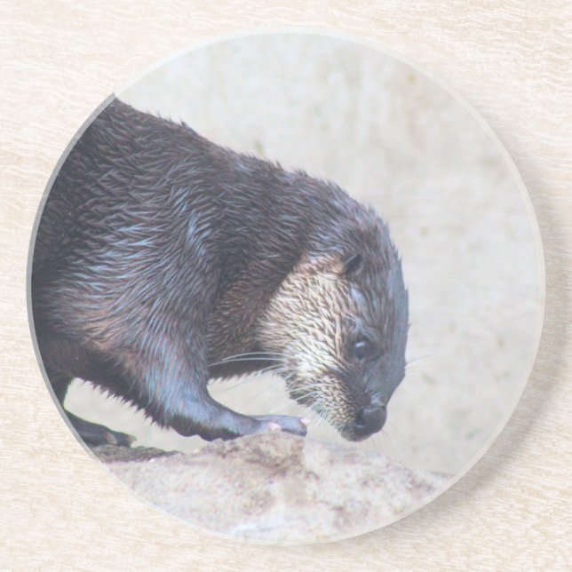 Otterly sleek coaster (Front)
