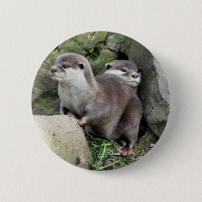 OTTERS 6 CM ROUND BADGE (Front)