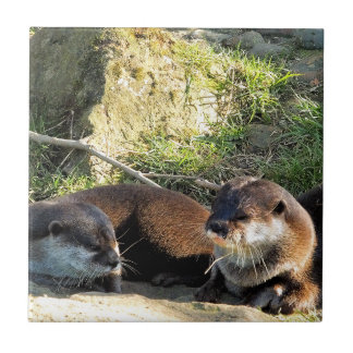 OTTERS CERAMIC TILE