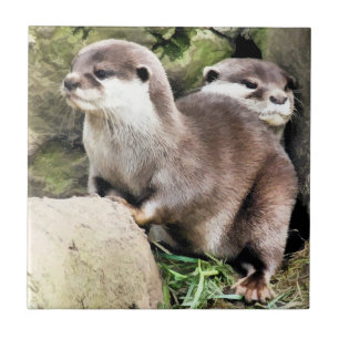 OTTERS CERAMIC TILE