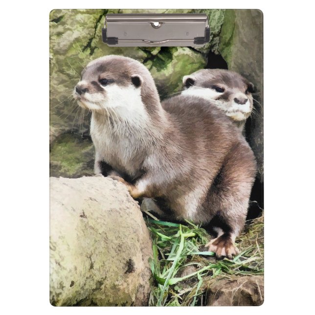 OTTERS CLIPBOARD (Front)