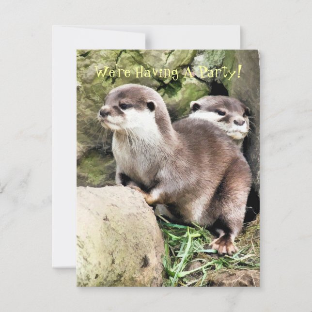 OTTERS Invitation (Front)