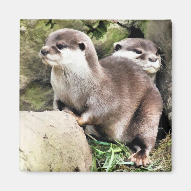 OTTERS MAGNET (Front)