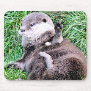 OTTERS MOUSE PAD