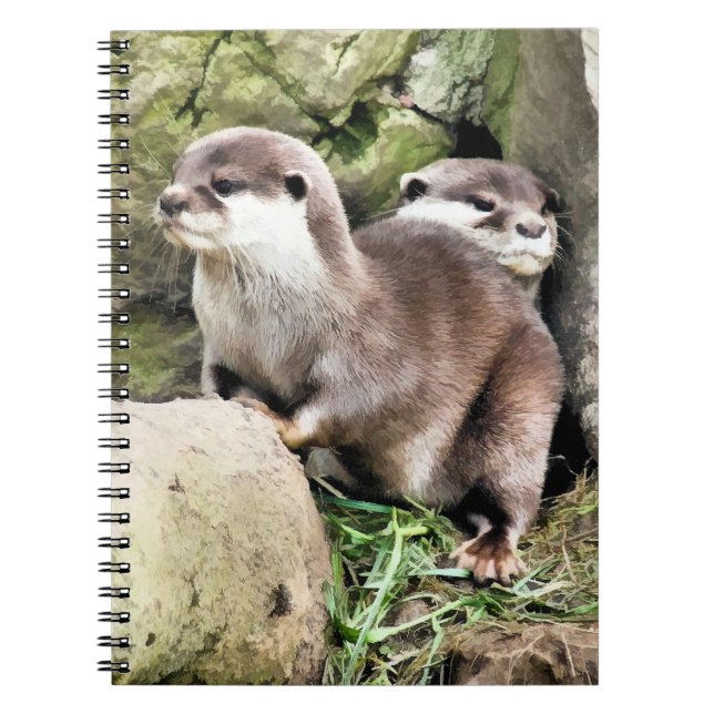 OTTERS NOTEBOOK (Front)