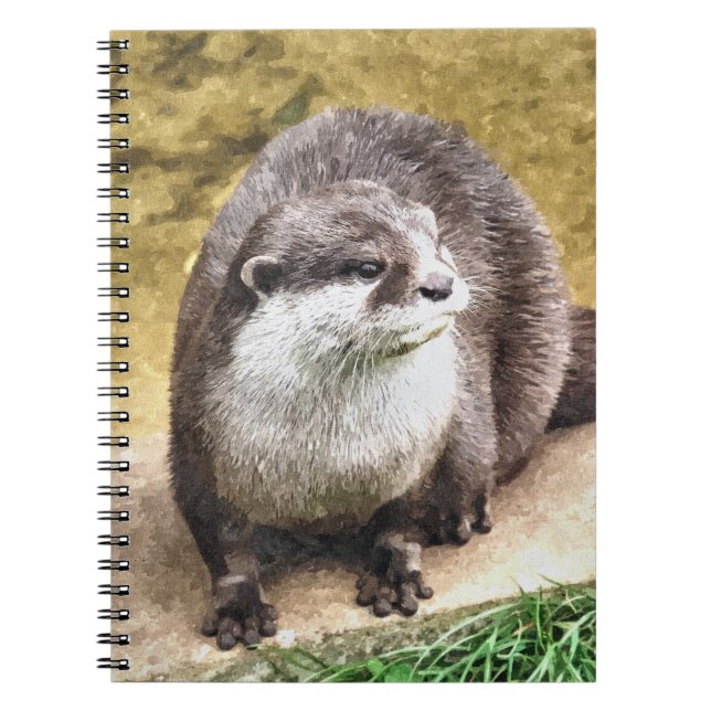 OTTERS NOTEBOOK (Front)
