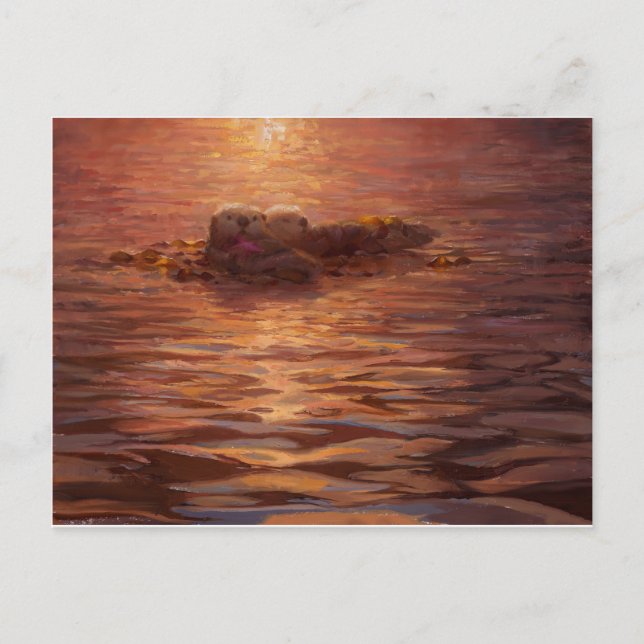 Otters Snuggling at Sunset Floating With Kelp Postcard (Front)
