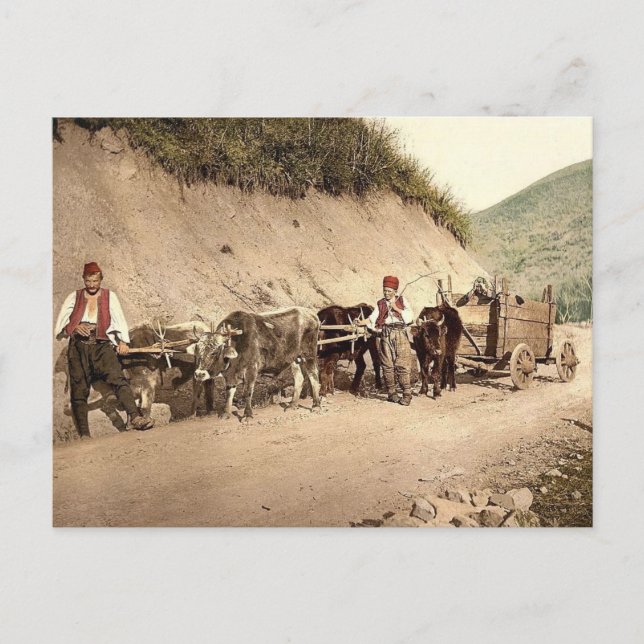 Ottoman Empire Postcard (Front)