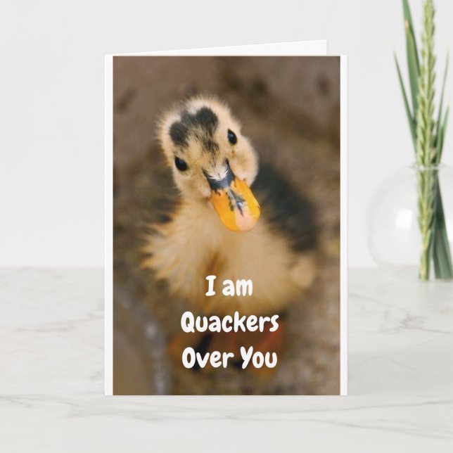 **OUR ANNIVERSARY** I AM QUACKERS OVER "YOU!" CARD (Front)