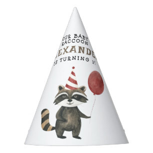Our Baby Racoon 1st Birthday Party Hat