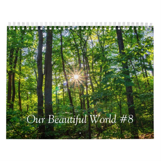 Our Beautiful World #8 Calendar (Cover)