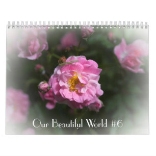 Our Beautiful World Calendar #6