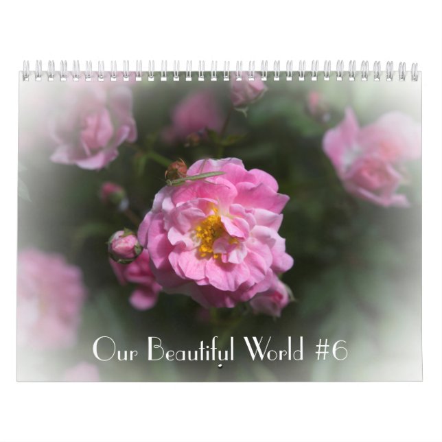 Our Beautiful World Calendar #6 (Cover)