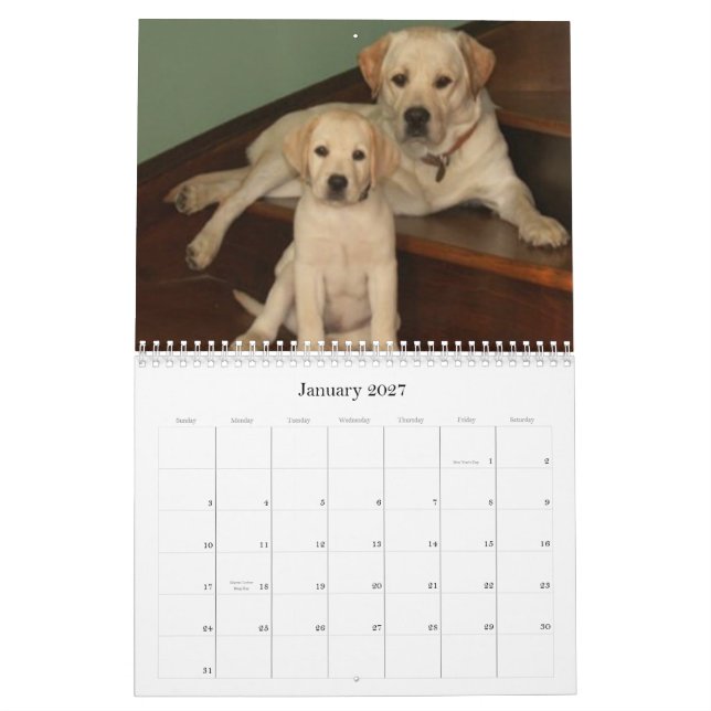 Our Best Friends 2009 Calendar (Jan 2027)