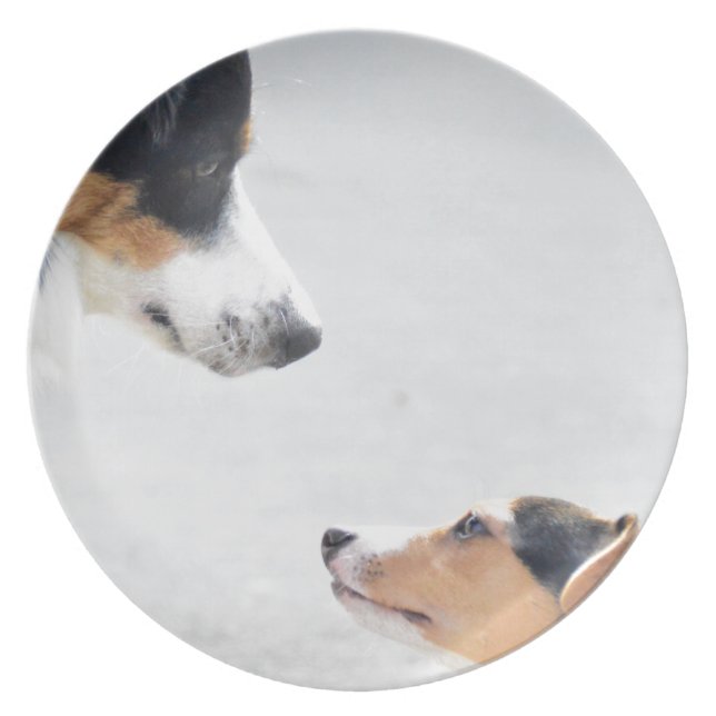 our best friends on four paws - serie 001 plate (Front)