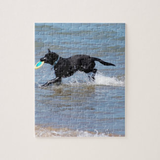 Our Black Labrador Retrieving Frisbee from Lake Jigsaw Puzzle