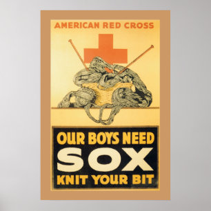 Our Boys Need Sox Poster