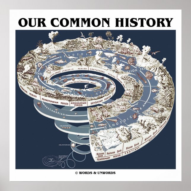 Our Common History (Earth History Timeline Spiral) Poster (Front)
