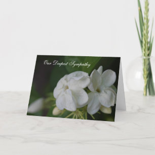 Our Deepest Sympathy Card