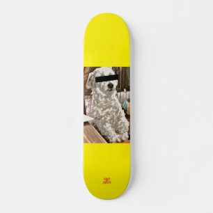 our dog skateboard