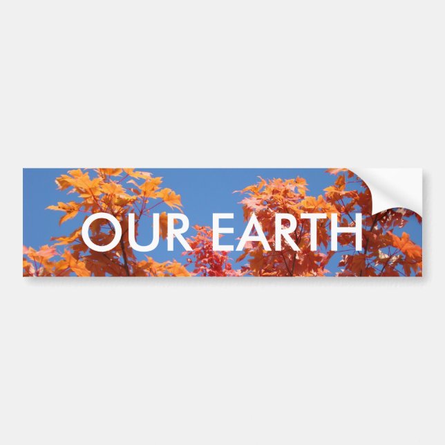 OUR EARTH bumper sticker Blue Sky Fall Trees (Front)