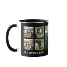 Our favourite hellos and hardest goodbyes pet phot