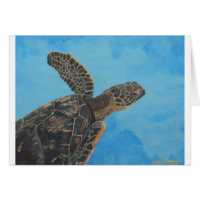 our hanu 5x6.5  300 (Front Horizontal)