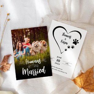 Our humans getting married dog photo save the date invitation