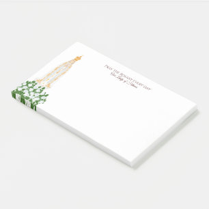 Our Lady of Fatima crown Notes