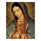 Our Lady of Guadalupe Devotional Image