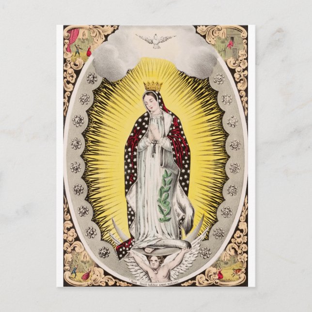 Our Lady of Guadalupe Postcard (Front)