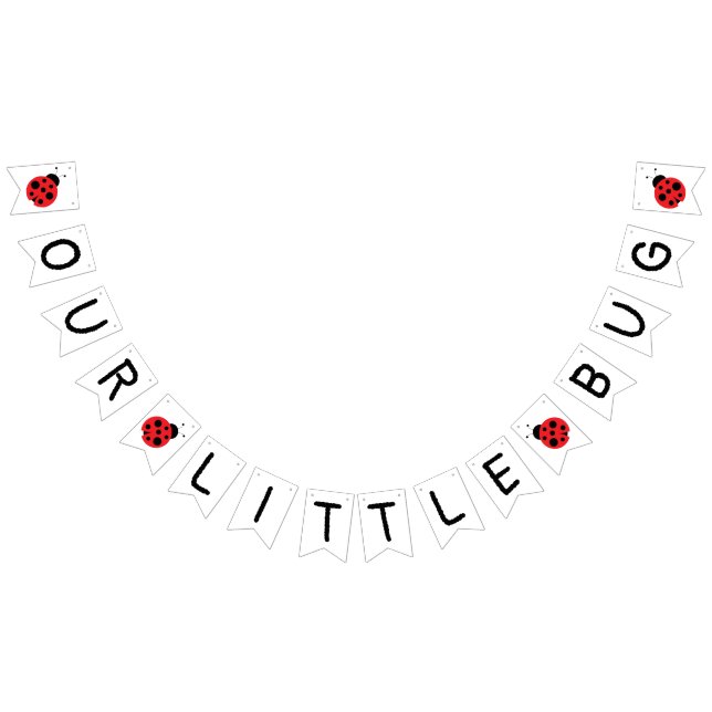 Our little bug banner, ladybug banner, birthday bunting  (All)