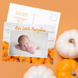 Our Little Pumpkin Thanksgiving Newborn Photo Postcard<br><div class="desc">This beautiful,  modern Thanksgiving newborn photo postcard features a photograph of your sweet new baby under the words Our Little Pumpkin in orange. This pretty autumn photograph with trendy white wood behind the patch of pumpins is an elegant birth announcement postcard for Halloween or Thanksgiving.</div>