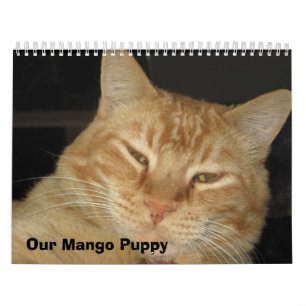 Our Mango Puppy Calendar
