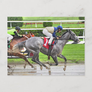 Our Mister and Junior Alvarado Postcard
